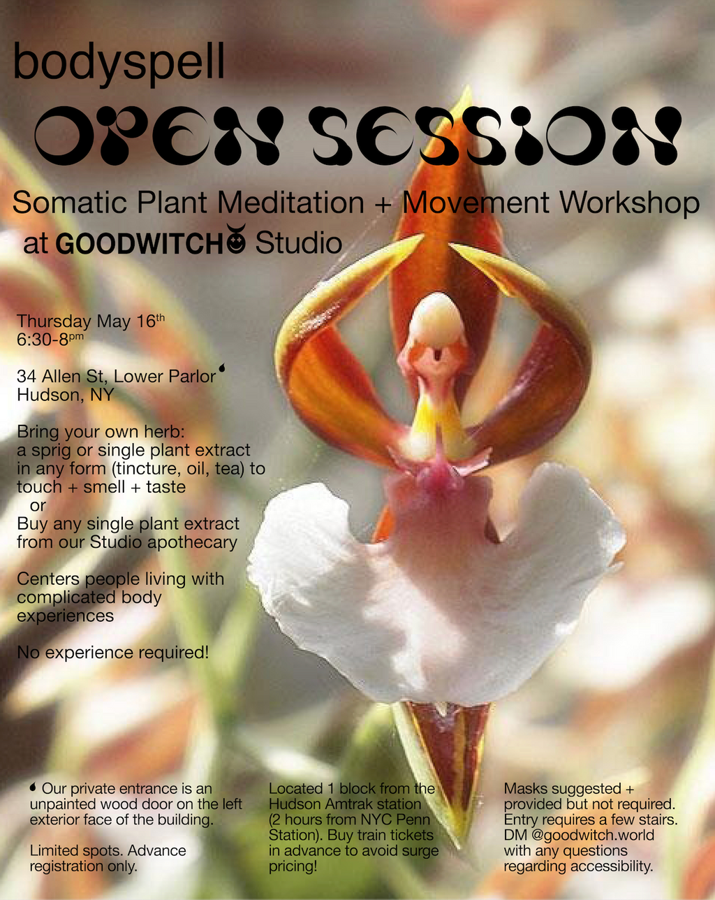 bodyspell: OPEN SESSION — somatic plant meditation + movement session at GOODWITCH Studio